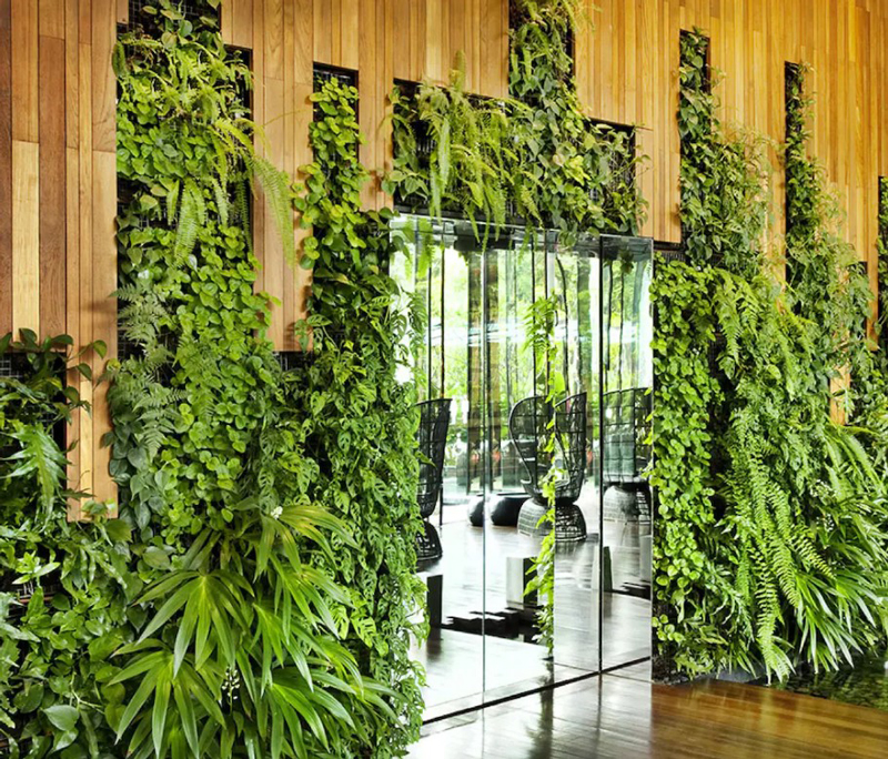 دیوار گیاهی به عنوان فضای ورودی