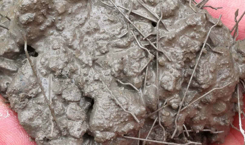 الیاف فلزی