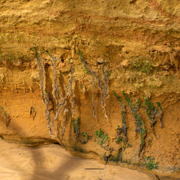 معادن زیرزمینی چیست
